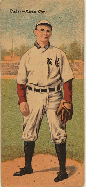 引发了社会 引发了社会