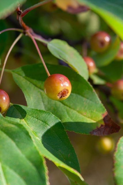 这句话不仅 这句话不仅