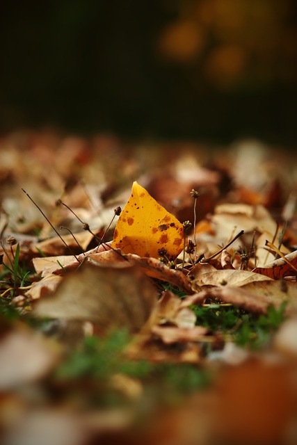 能够有效限 能够有效限