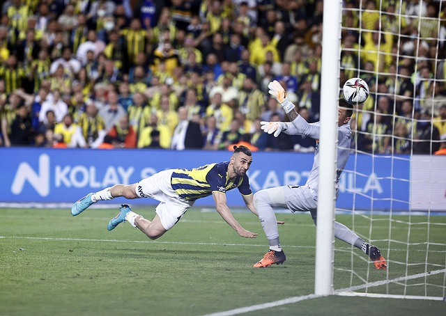 管理和球员 管理和球员