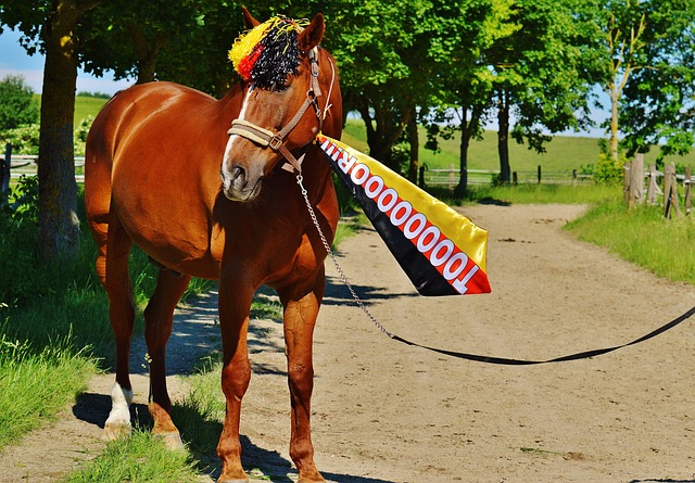 国际环境治 国际环境治