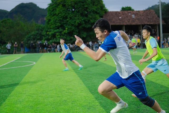 坎塞洛的可 坎塞洛的可