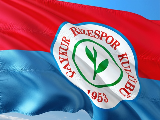 评分和历史 评分和历史