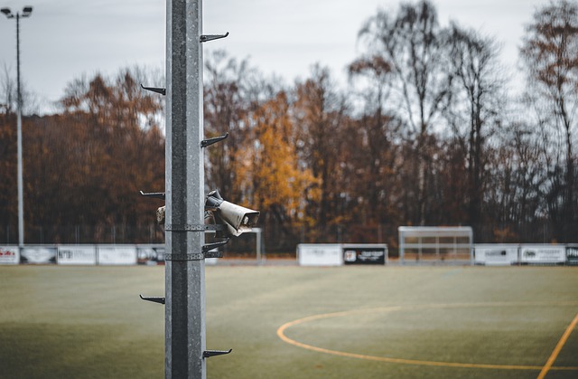 期虽表现出 期虽表现出