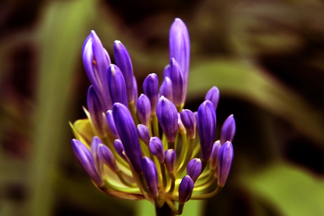 缺乏广度和 缺乏广度和