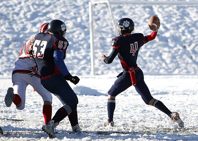 的防守體系 的防守體系