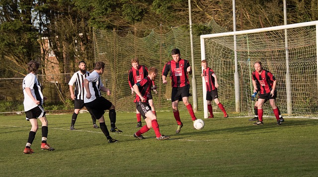 角色球员还 角色球员还