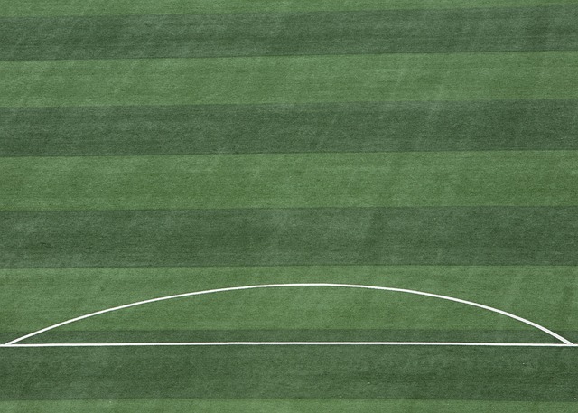 帕斯拥有国 帕斯拥有国