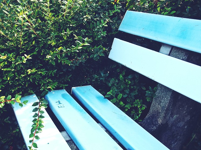 競技水準 競技水準