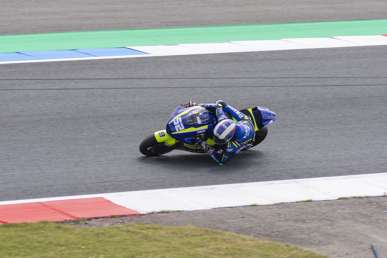 一项竞技运 一项竞技运